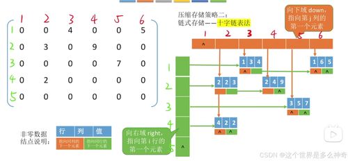 数据结构 其四 特殊矩阵的存储 数据处理与存储服务的核心策略